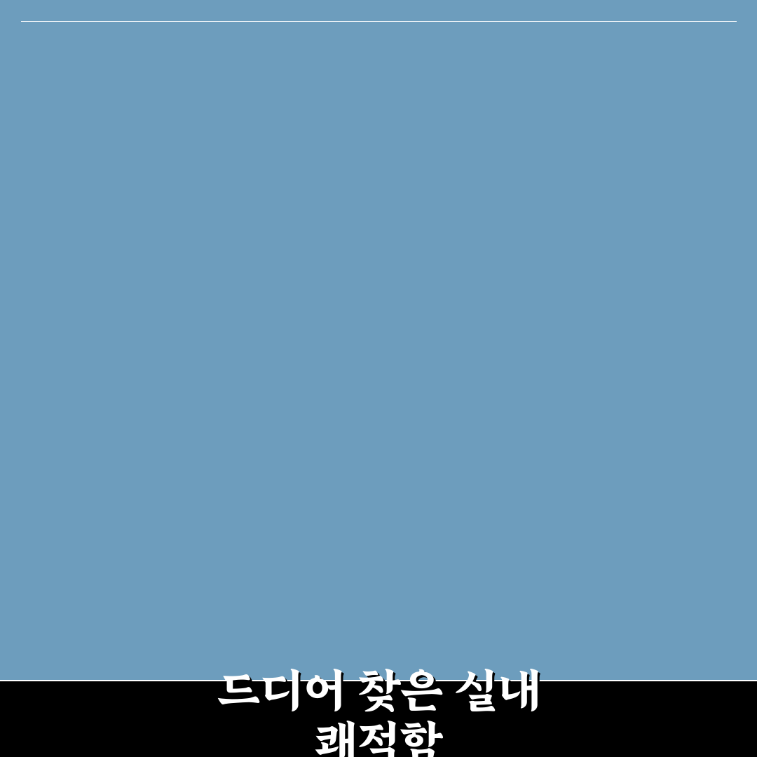 가습기 살균 관리 제대로 하는 법과 세척 주기 정리 직접 써본 후기