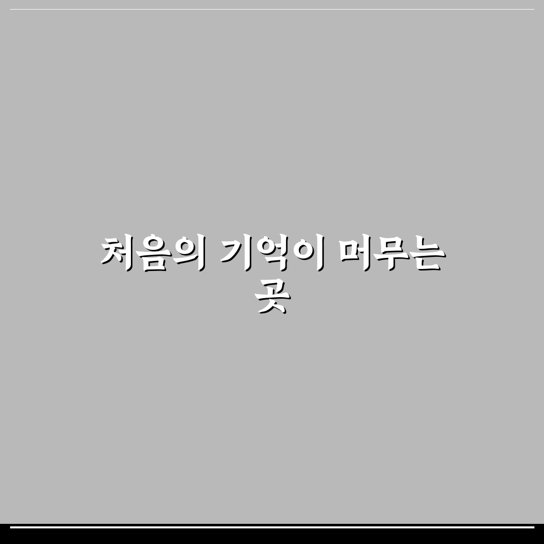 창포동 양촌리 방문 후기, 한적한 마을 풍경 직접 가보니