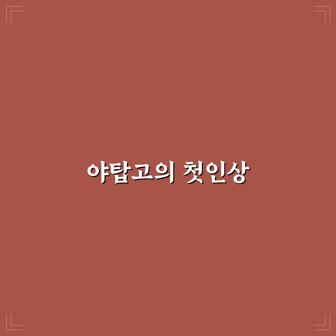 야탑고 교복 후기, 직접 입어보니 편안한 점과 아쉬운 점
