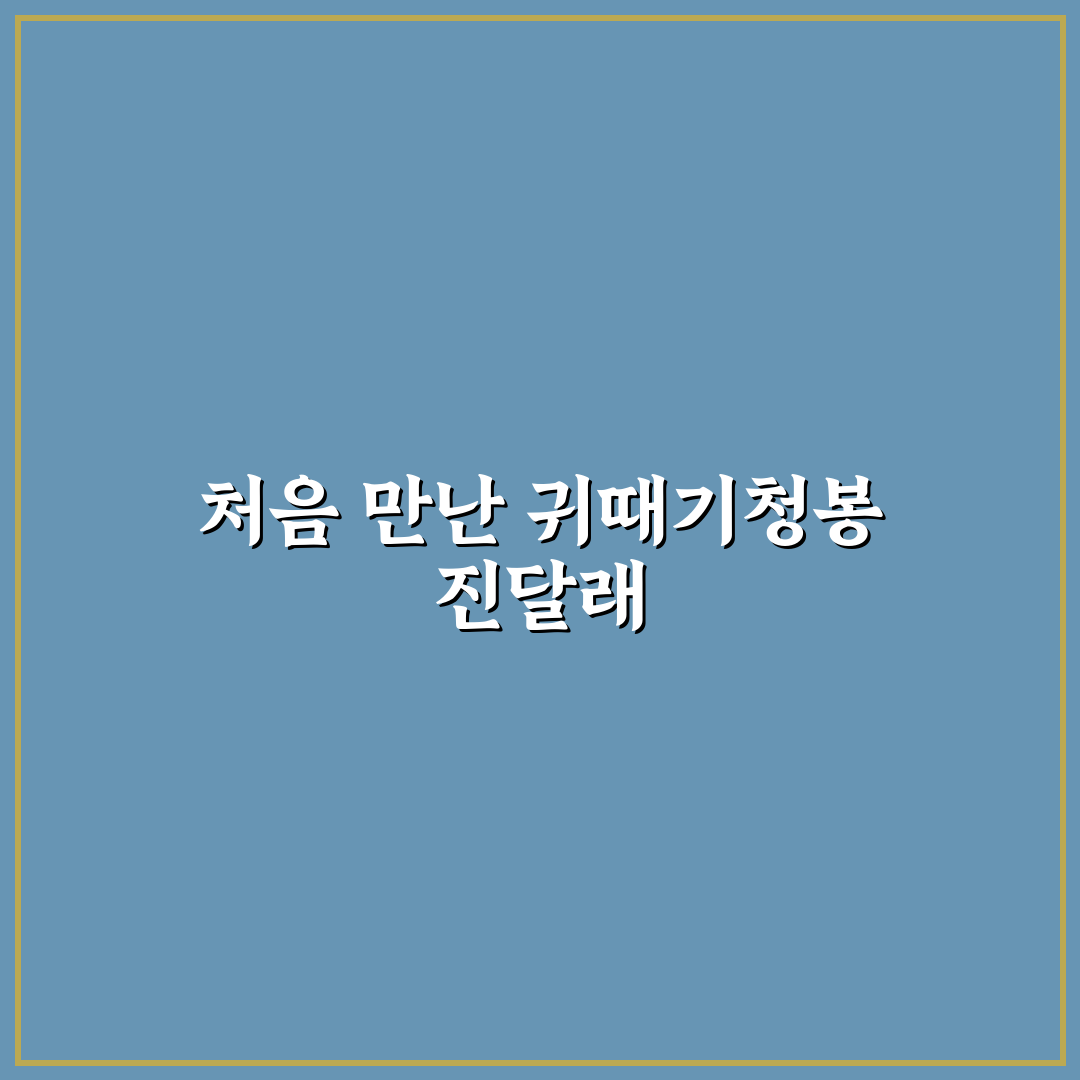 귀때기청봉 털진달래 직접 가보니 산행과 식물 관찰 후기는 어떨까
