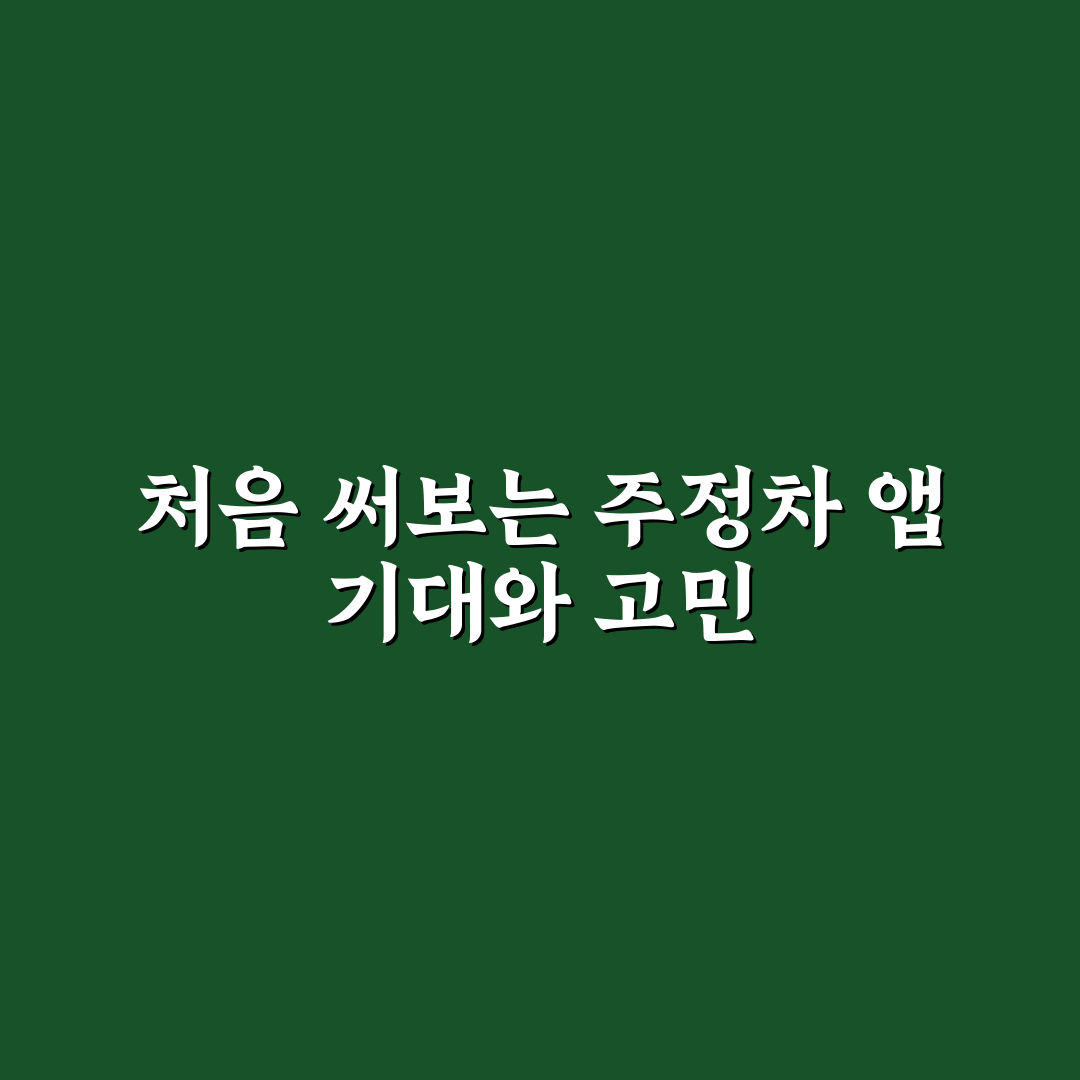 주정차 위반 알림 앱 추천과 과태료 예방하는 방법 사용후기
