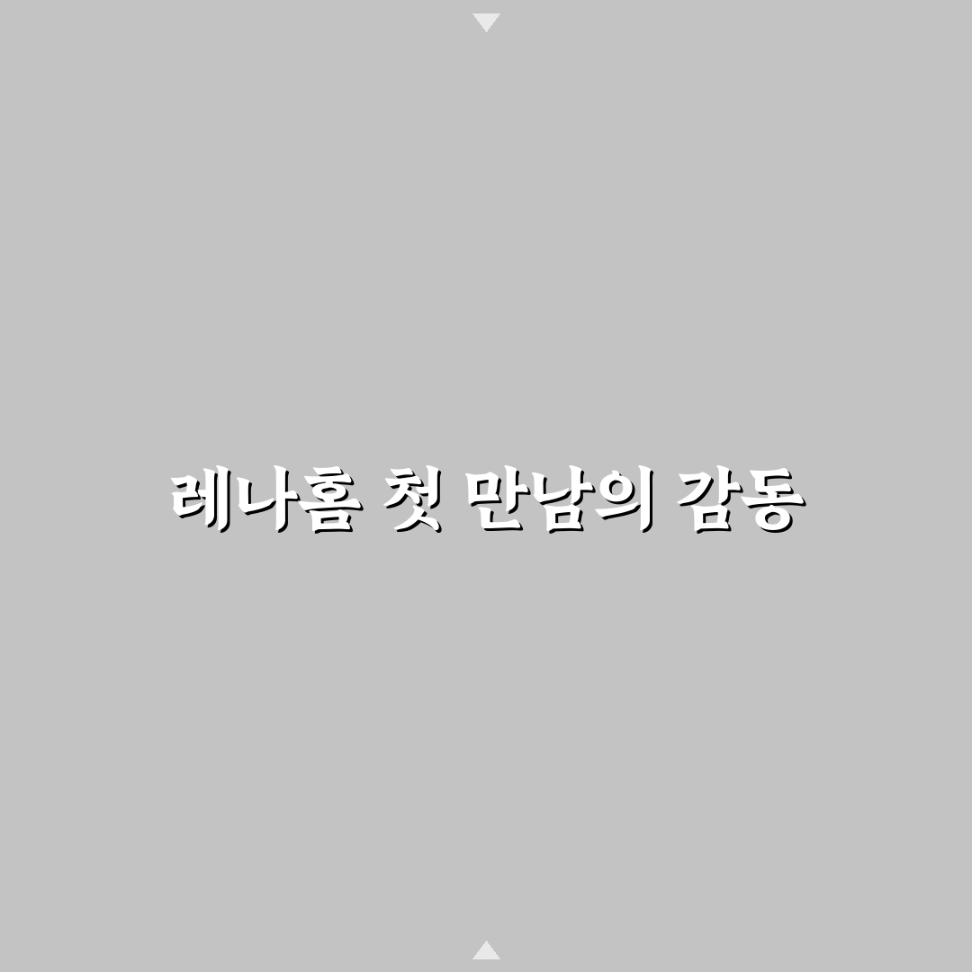 유튜버 레나홈 아파트 방문 후기, 실제 공간은 어땠을까