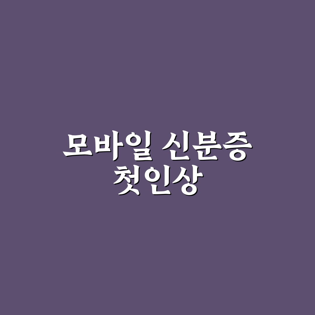 모바일 신분증 사용법과 실생활 활용 가능한 상황 리얼후기