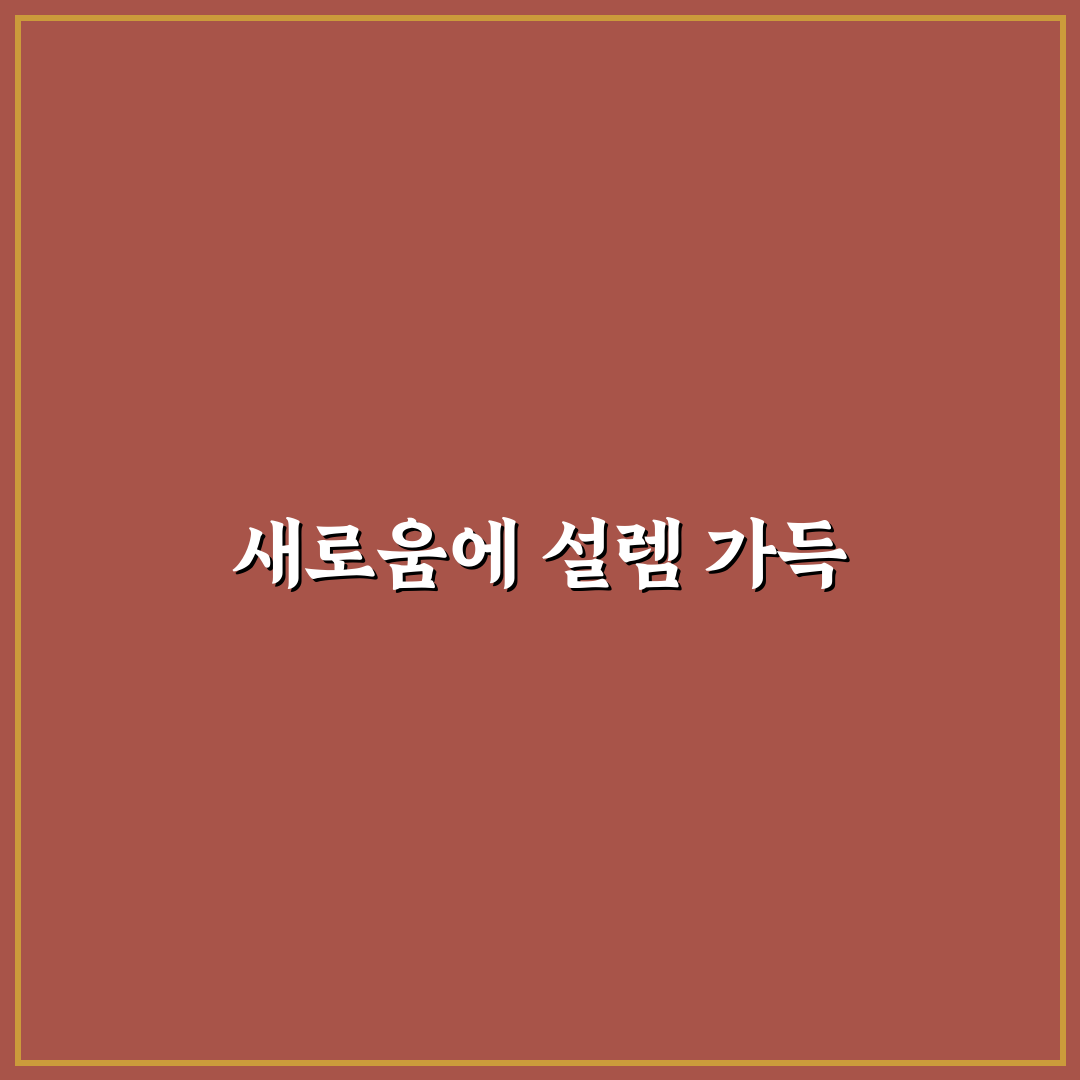 노션 위젯 꾸미기와 옵시디언 플러그인 추천 총정리 사용후기
