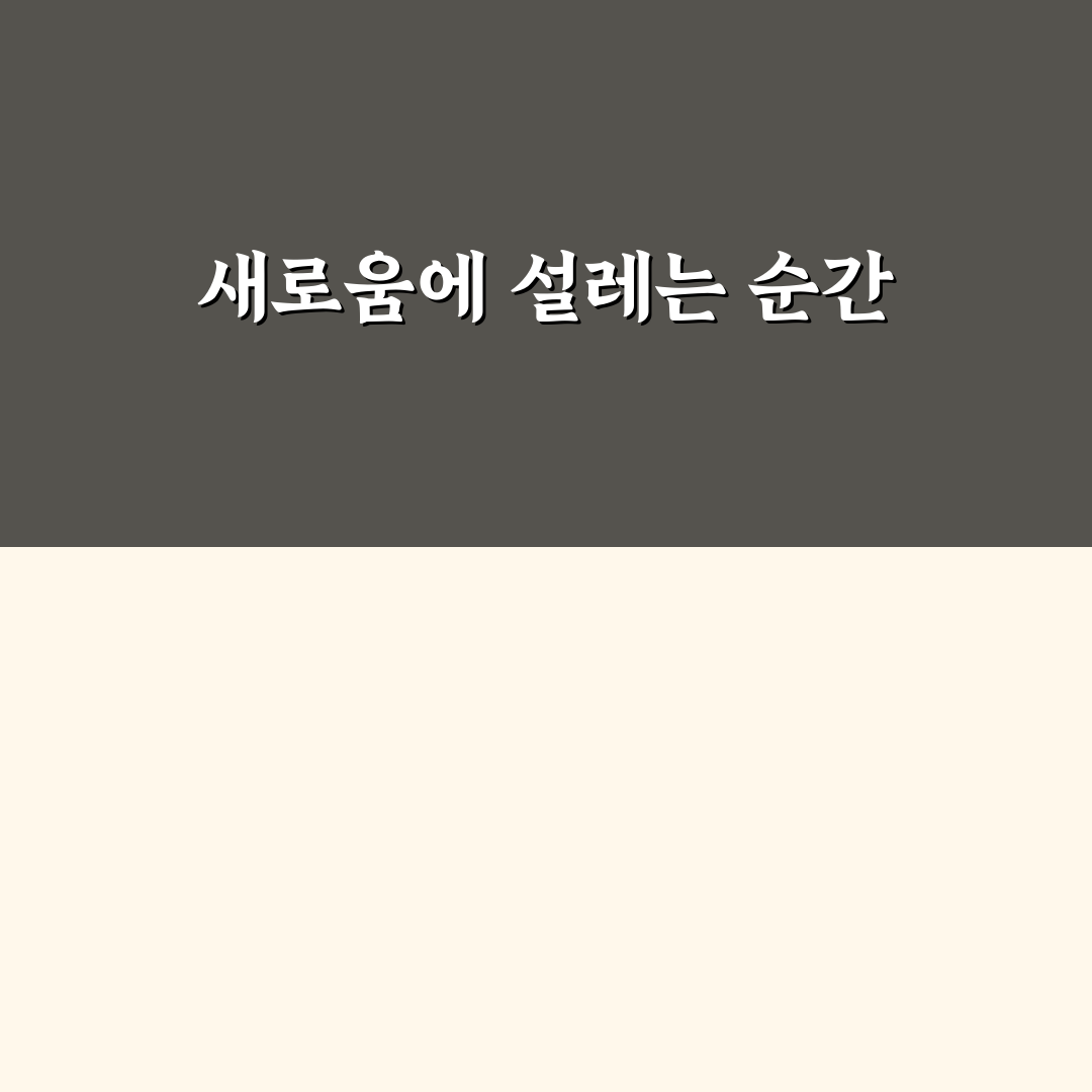 다림질 필요 없는 옷 고르는 기준과 관리 팁 직접 써본 후기