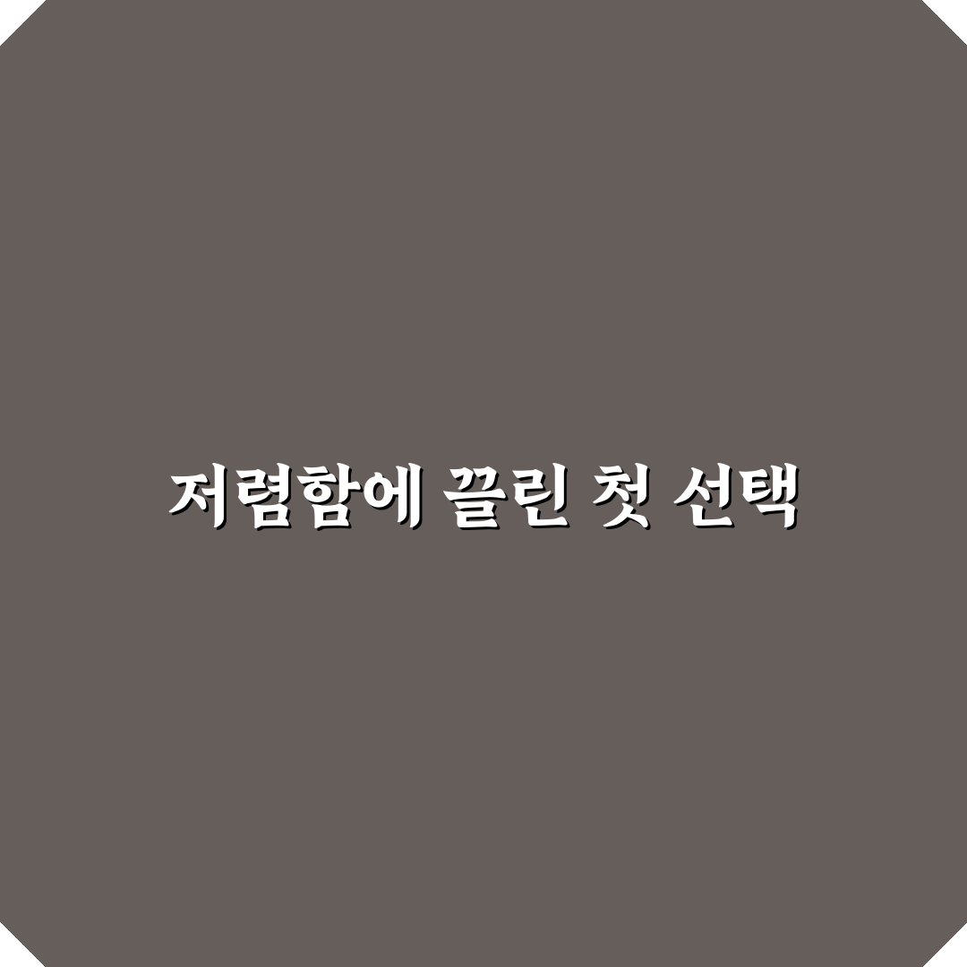 알뜰폰 요금제 갈아타기로 통신비 줄이는 실전 방법 솔직후기