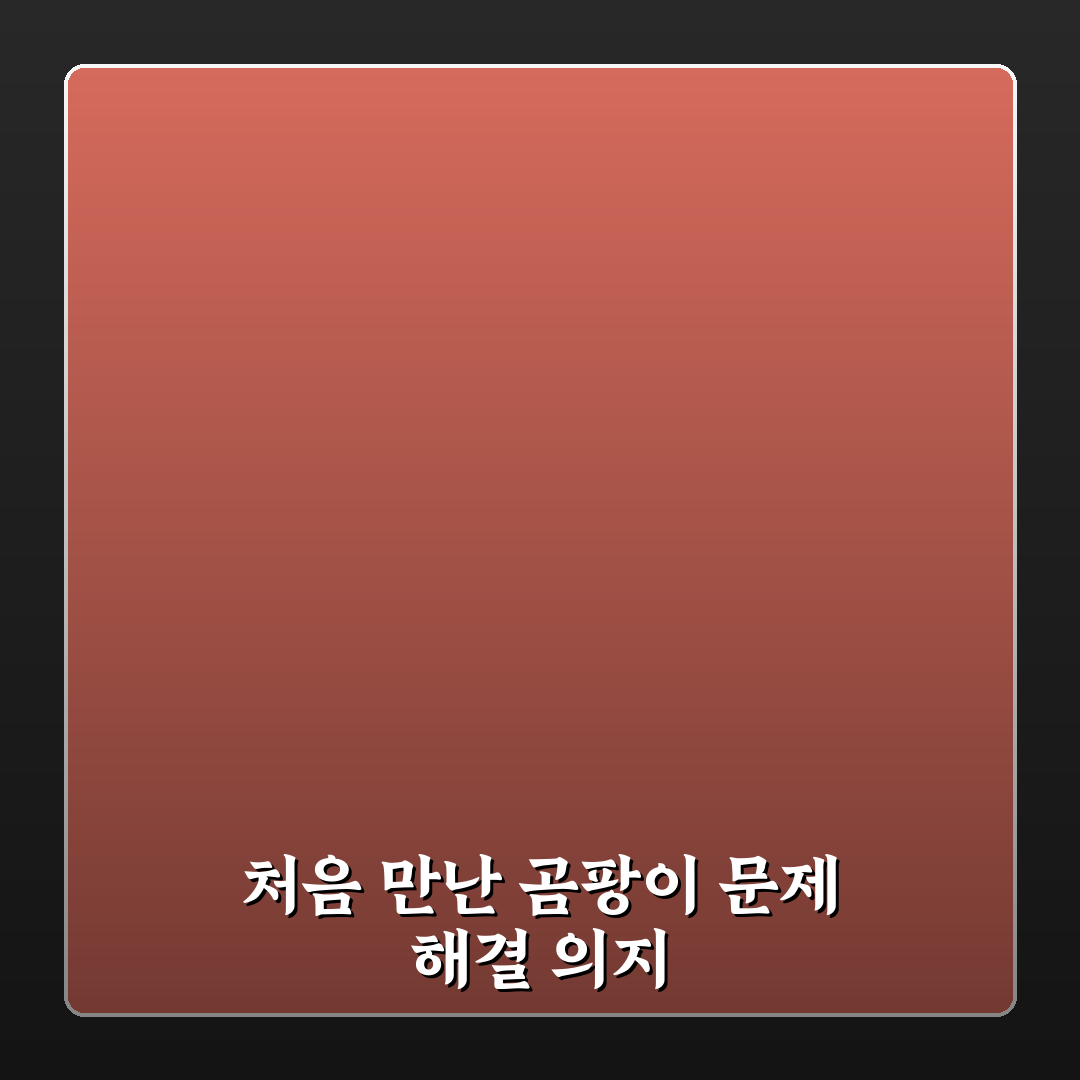 벽지 곰팡이 제거법과 다시 생기지 않게 관리하는 방법 직접 써본 후기