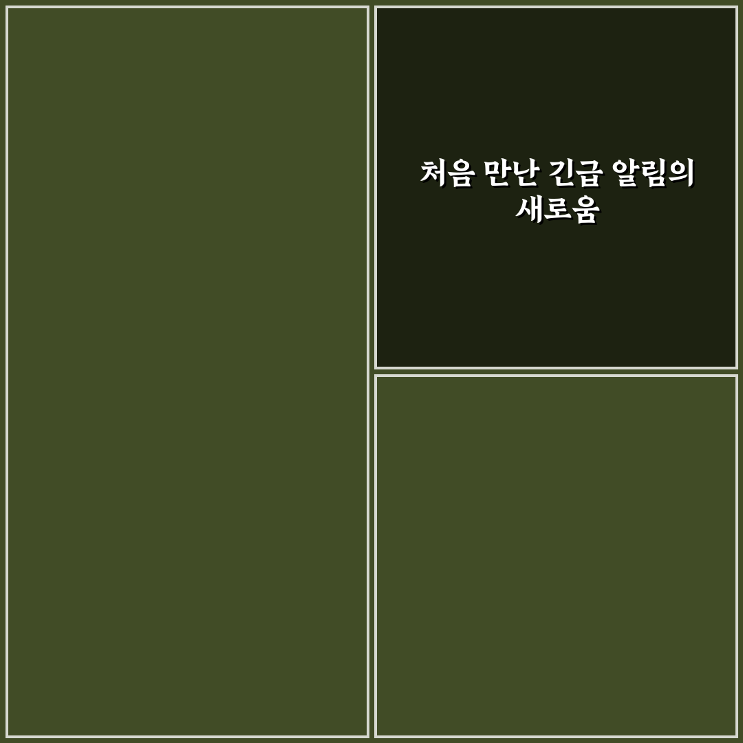 긴급 재난 문자 설정과 알림 끄기 켜기 방법 정리 사용후기