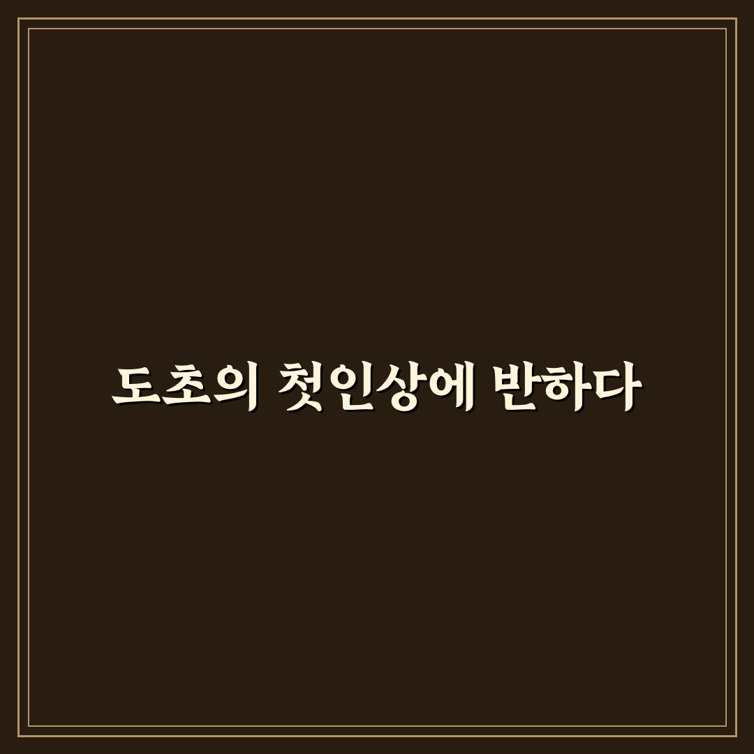 도초 수국축제 기간 방문 후기, 실제 풍경과 분위기 체험기