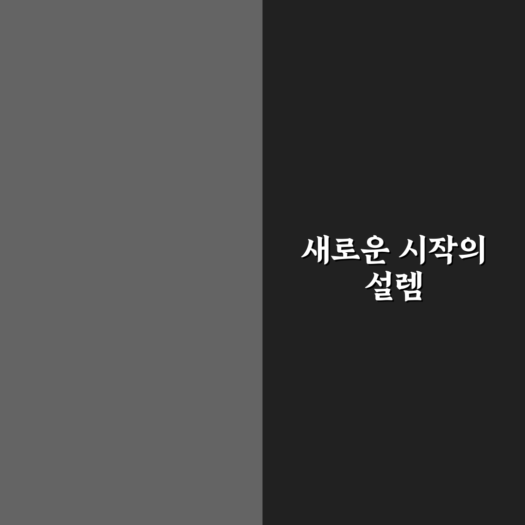 라이트룸 사진 보정 앱과 캡컷 영상 편집 앱 직접 써본 후기