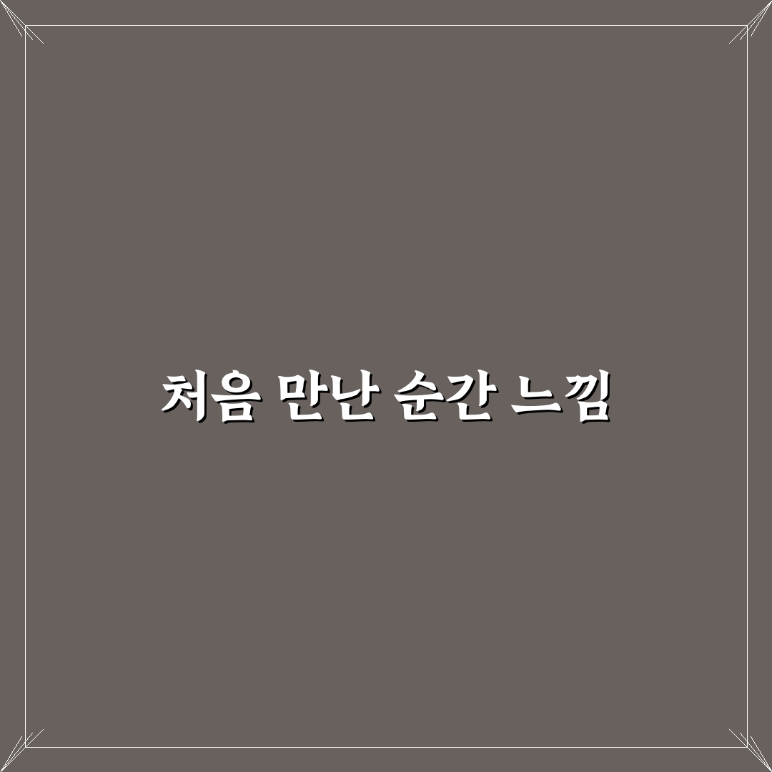 창의력 높이는 법과 문제 해결 프로세스 정리 방법 솔직후기