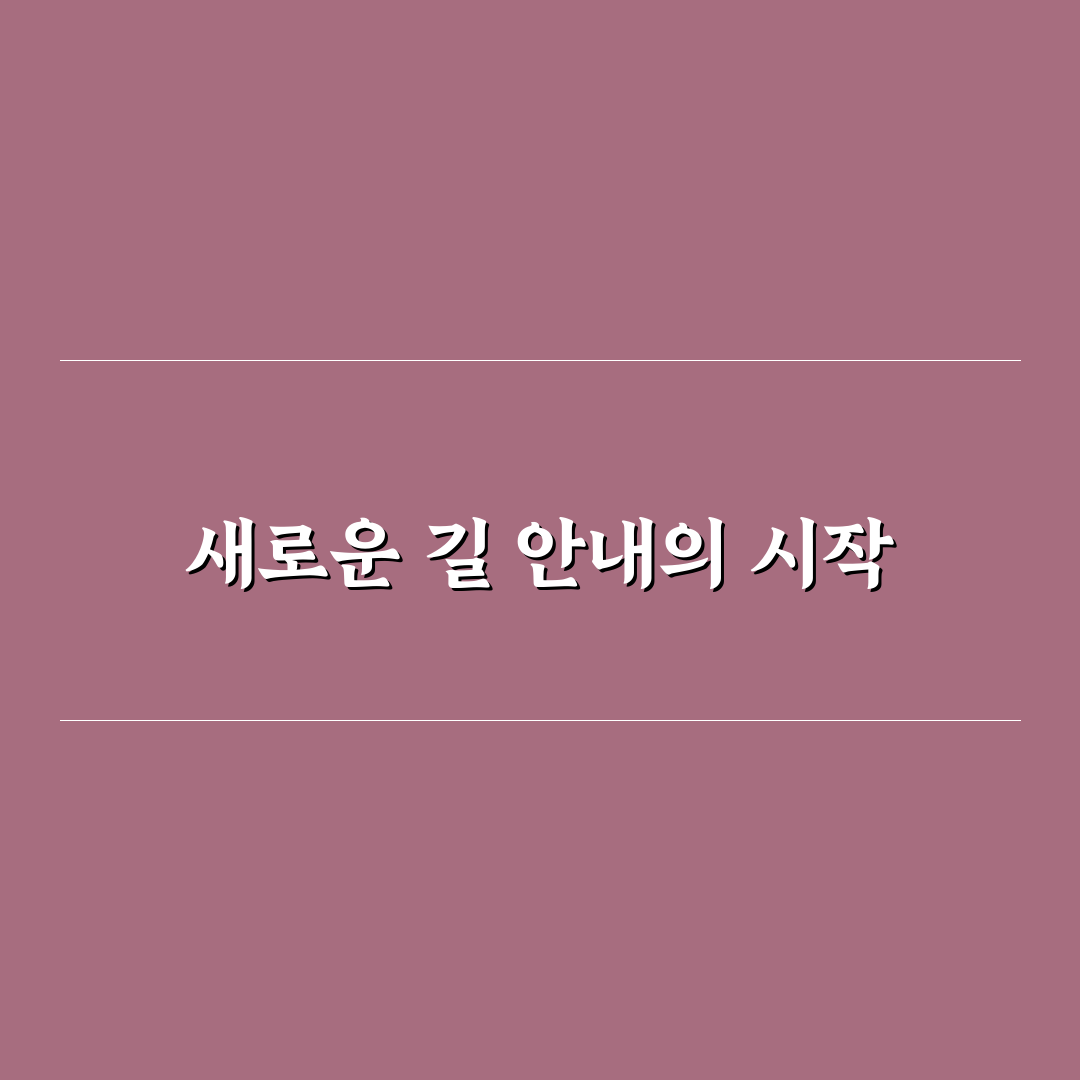 지도 로드뷰 활용법과 길 찾기 정확도 높이는 팁 사용후기