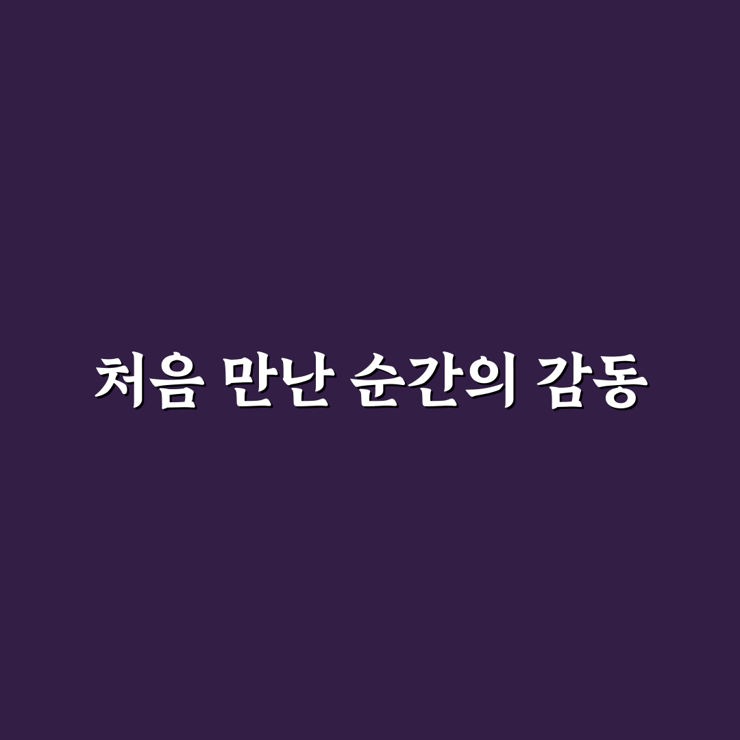 하드 드라이브 관리와 맥 OS 생산성 앱 추천 정리 사용후기