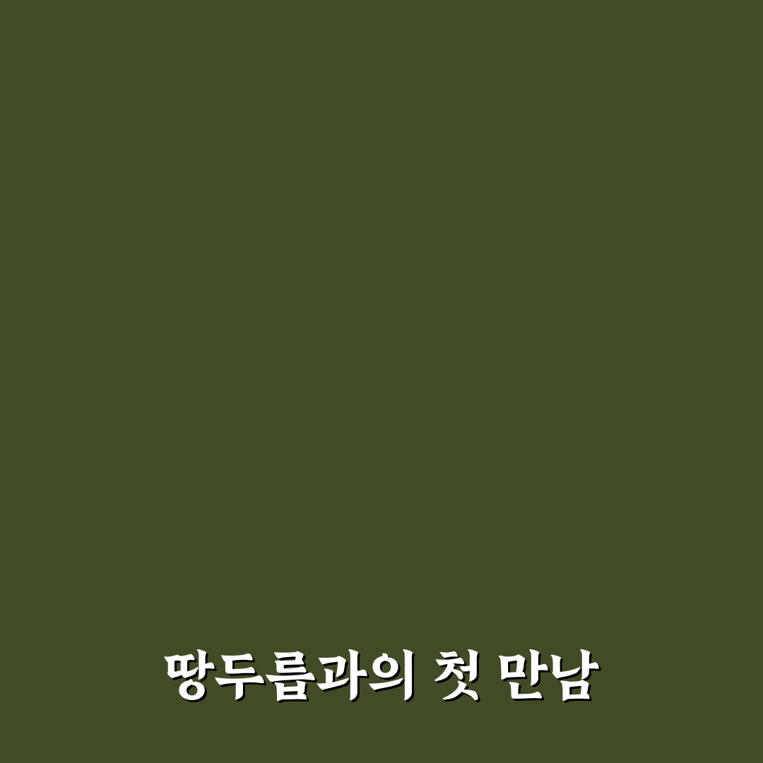 땅두릅 부작용 직접 알아보니 주의할 점들