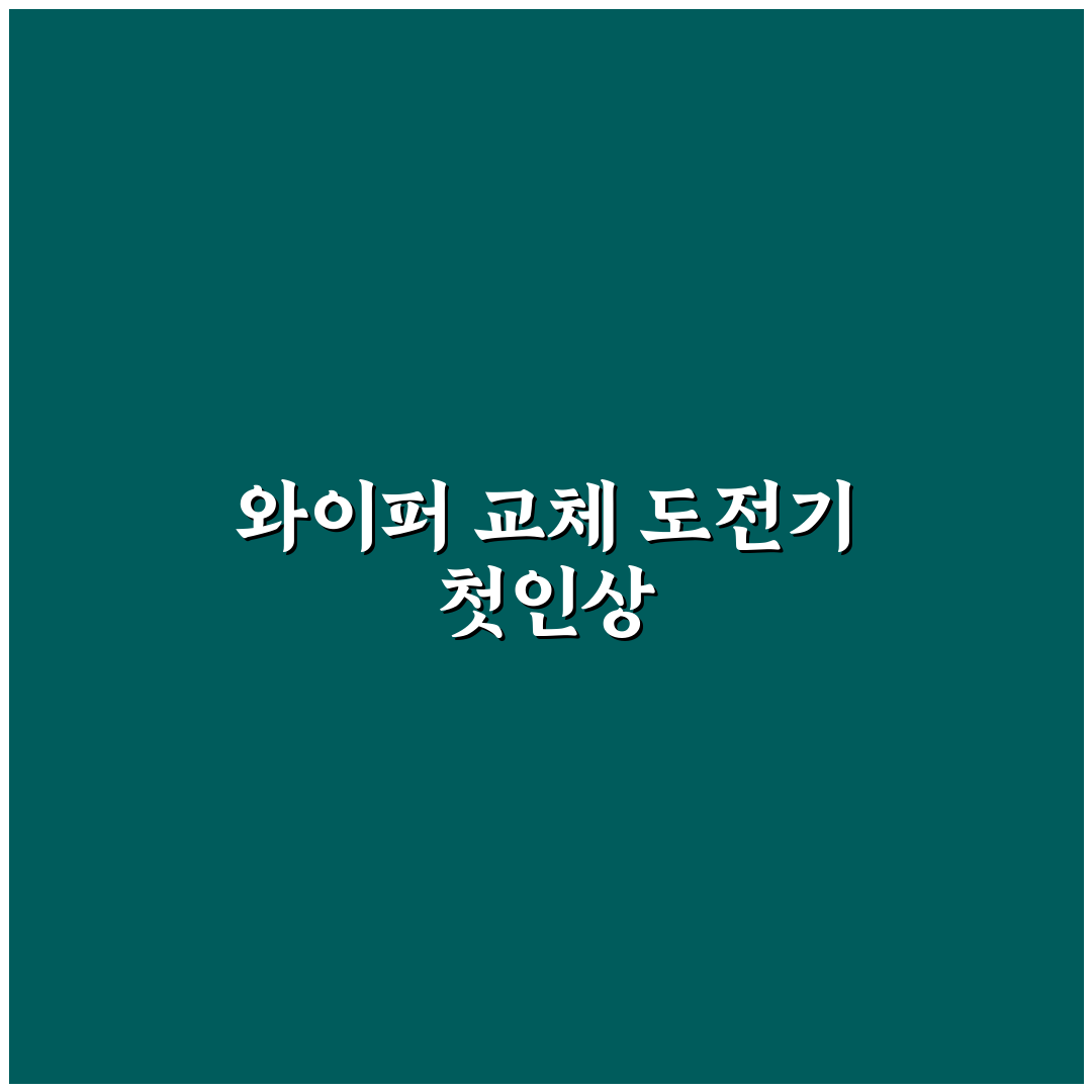 와이퍼 셀프 교체 방법과 초보자도 쉽게 하는 순서 정리 사용후기