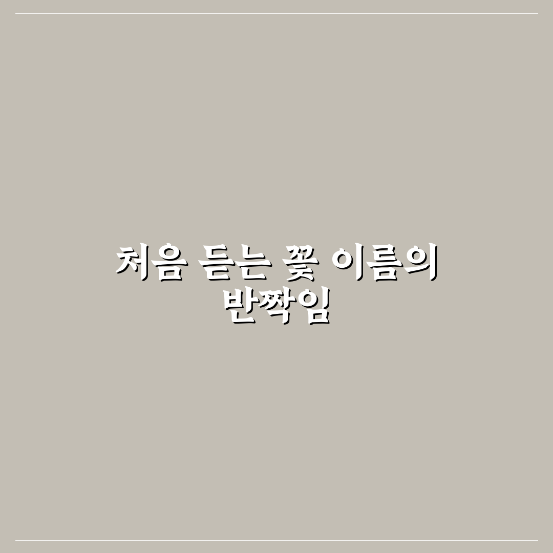 목단 모란 작약 차이, 직접 알아보니 헷갈렸던 부분