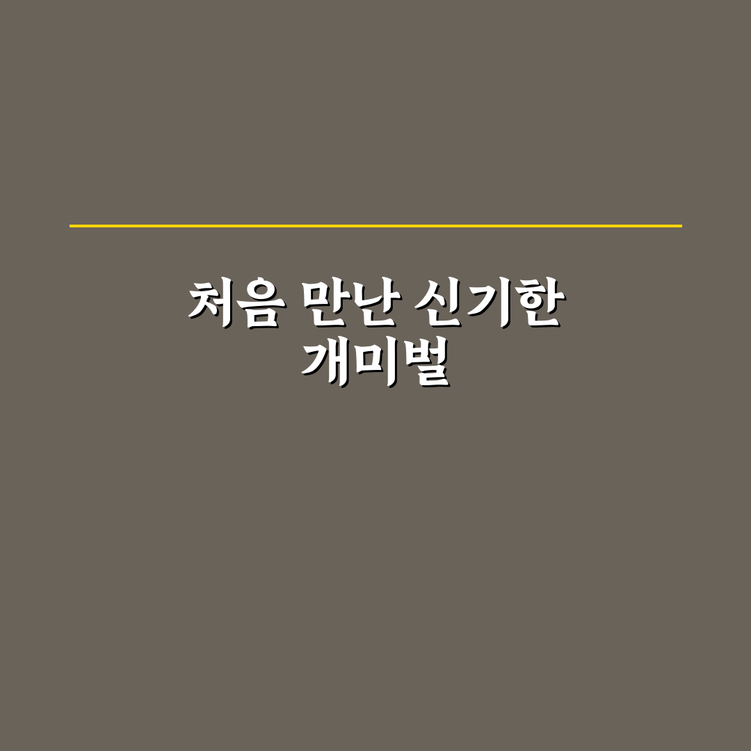개미벌 사용 후기, 직접 써보니 효과는 어땠는지