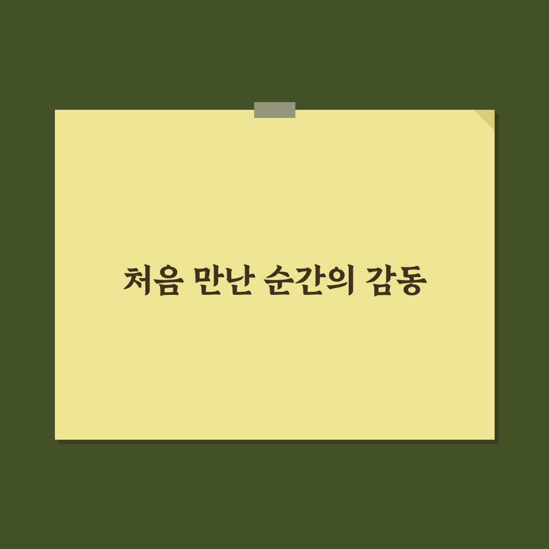 똑닥 앱 병원 예약과 약국 찾기 앱 활용법 실전 가이드 사용후기