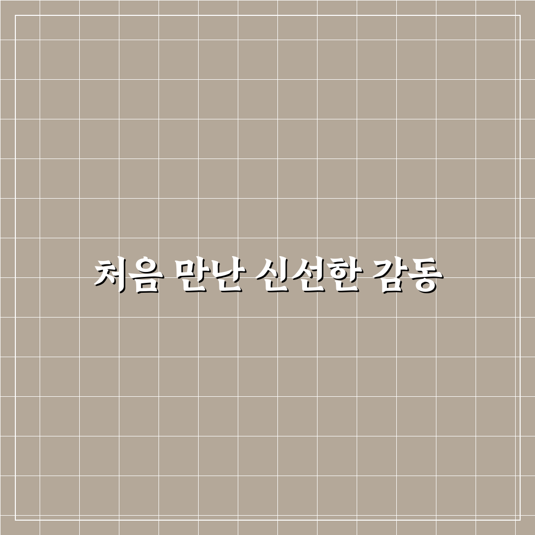 다이소 시흥사거리점 방문 후기, 직접 가보니 느낌은?