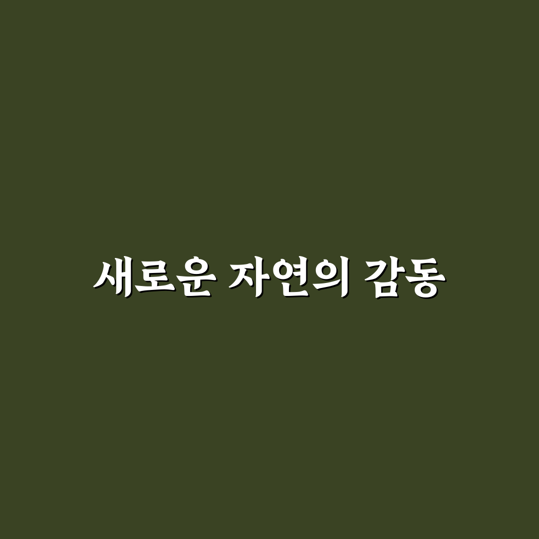 캐모마일 꽃말 뜻 직접 알아보니 평소와 달랐어요