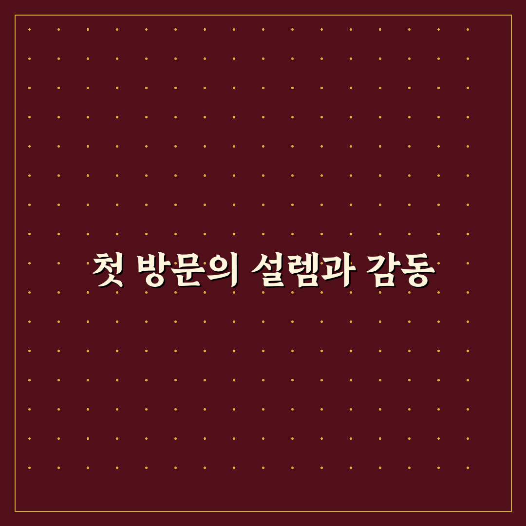 천호 다이소 방문 후기, 매장 분위기와 제품 다양성 체험기