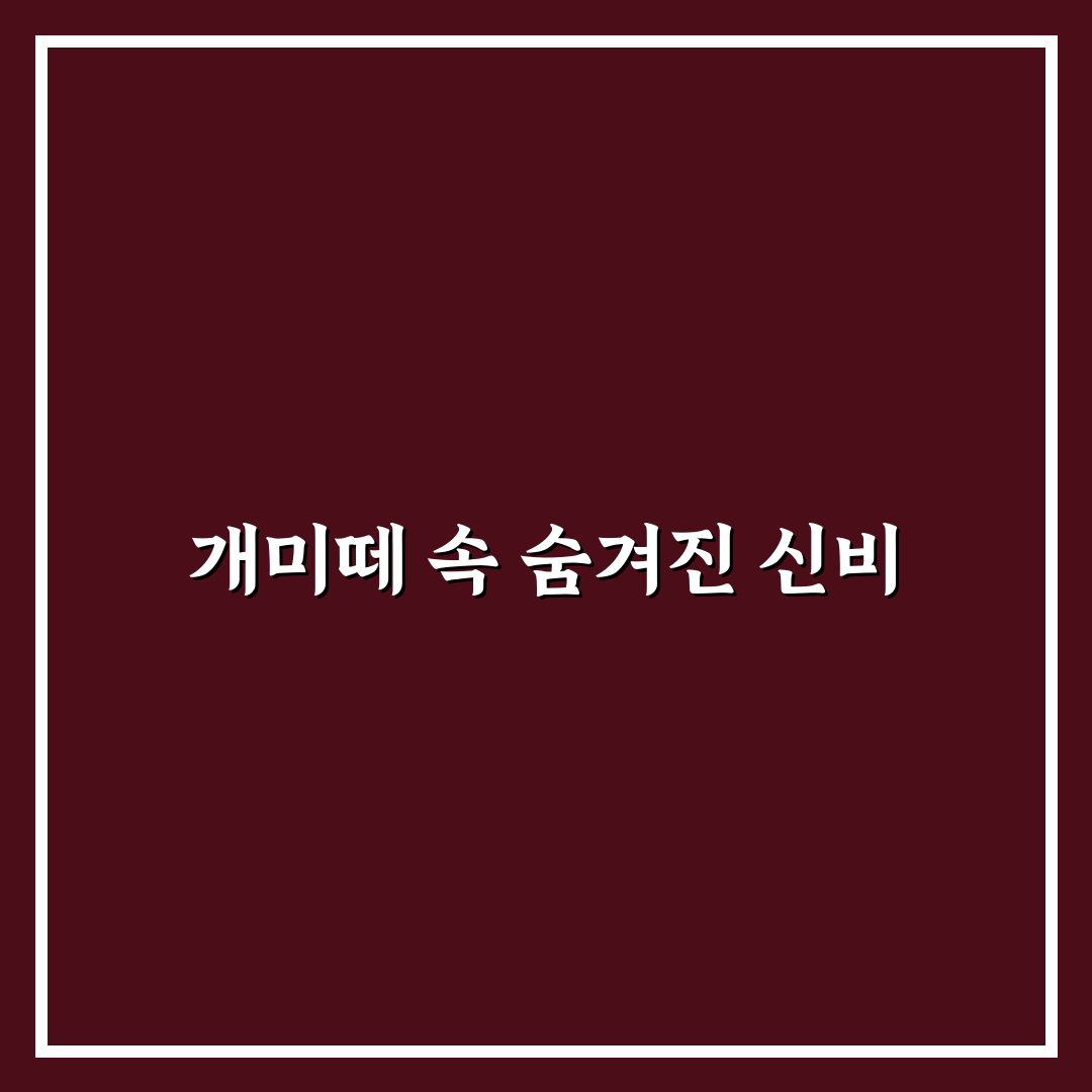개미떼 꿈 해석 후기, 직접 경험해보니 알게 된 점