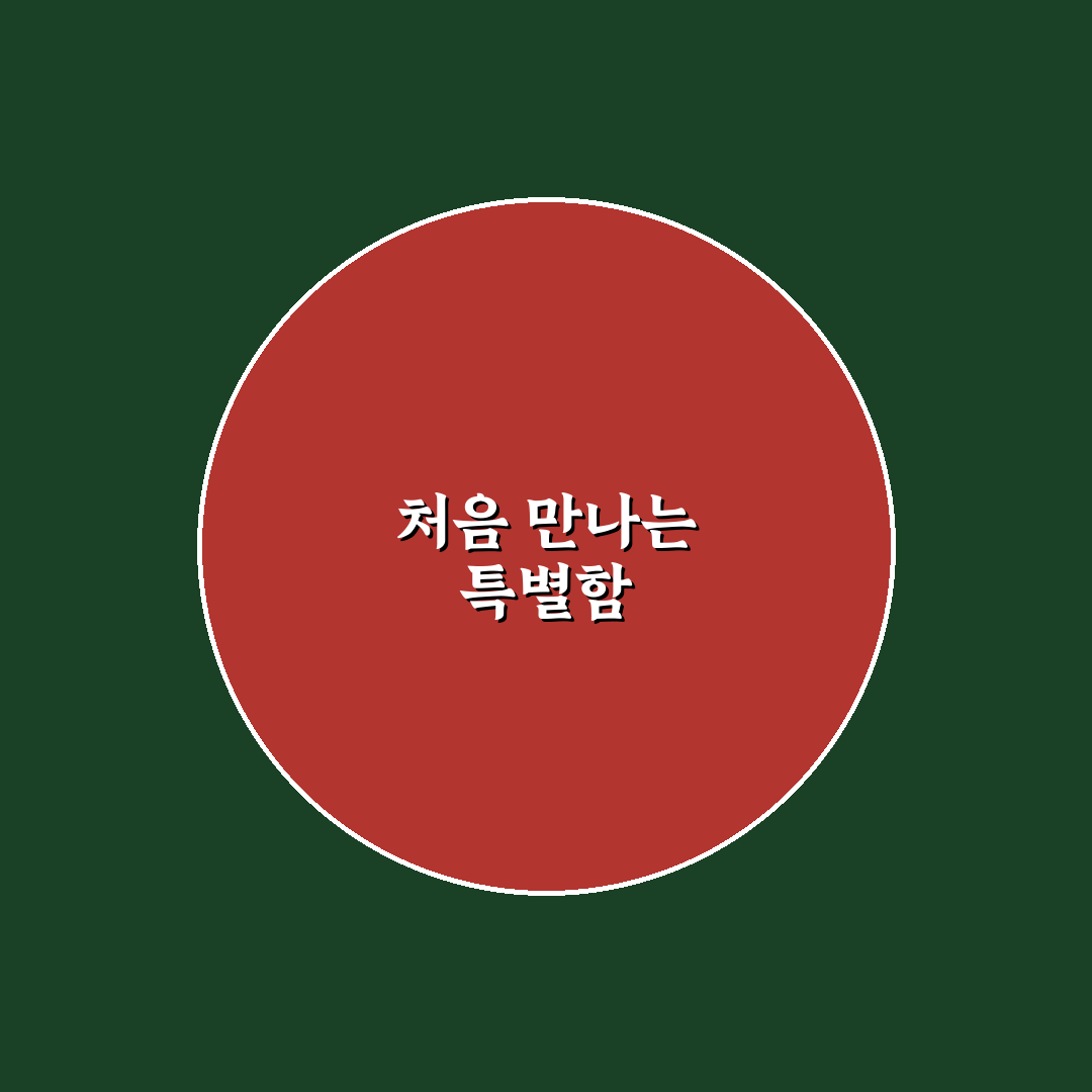 태극기 패치 벨크로 사용 후기, 실제로 써보니 느낌은?