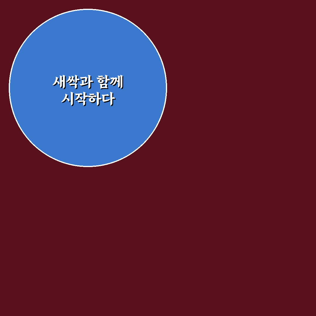아스파라거스씨앗심는시기 직접 알아보니 좋은 시기와 주의점