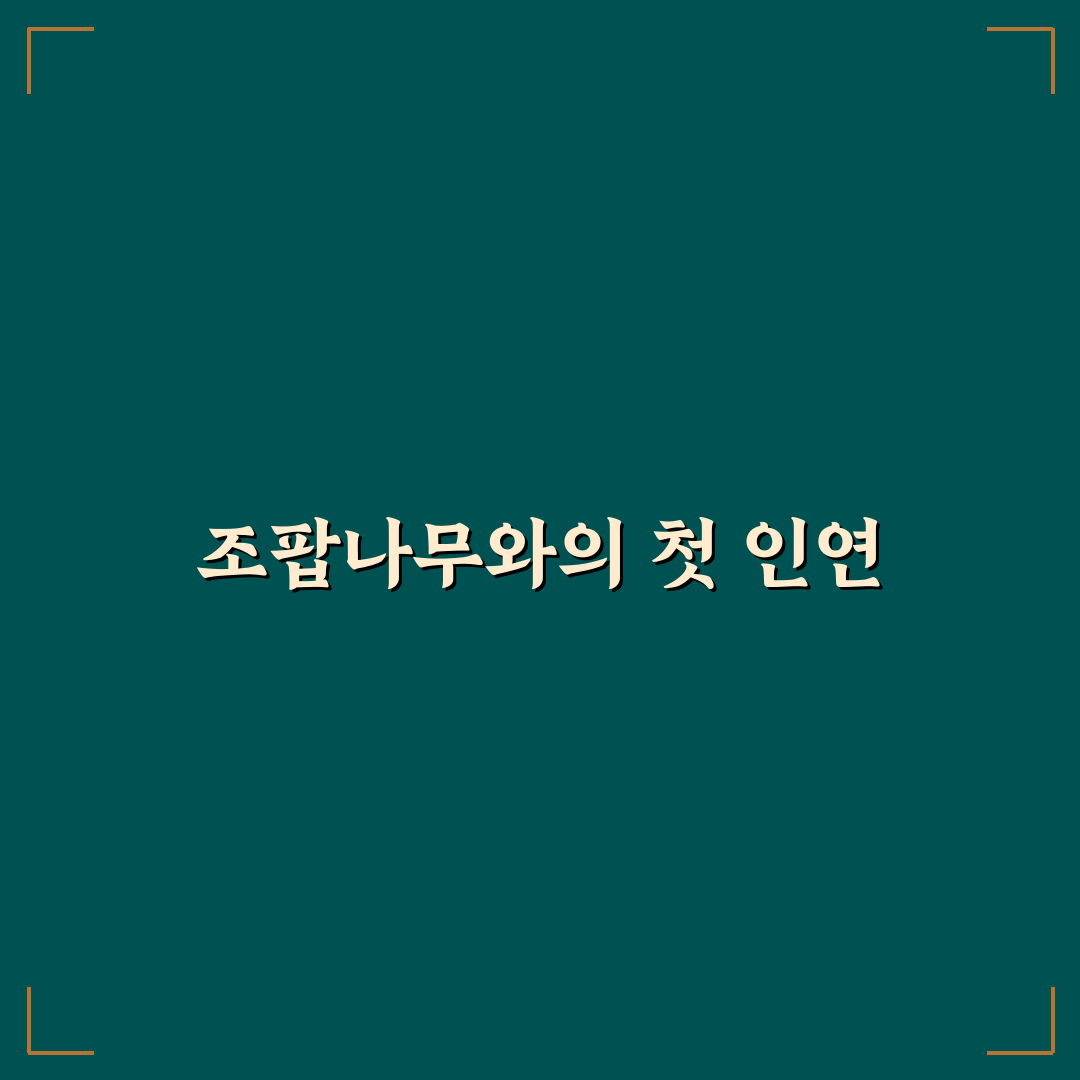 조팝나무 키우는 법, 직접 해보니 생긴 변화와 어려움
