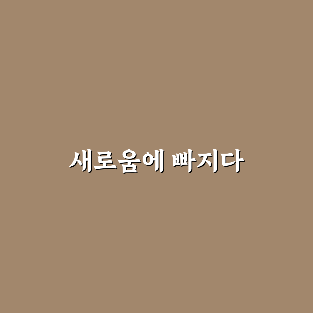 타오바오 팝마트 구매 후기, 직접 써보니 알게 된 점