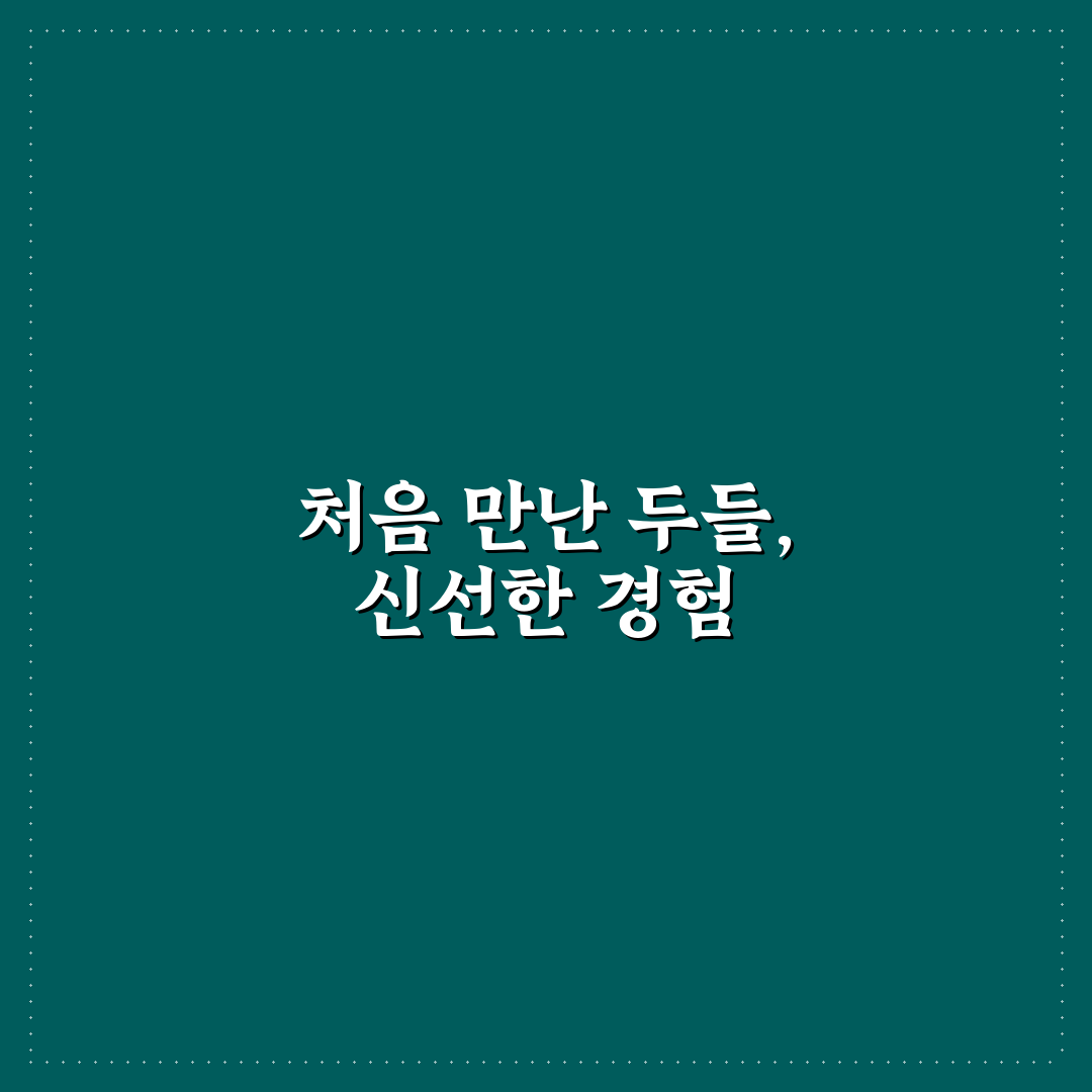 약속 시간 정하기 두들 활용으로 일정 조율 쉽게 끝내는 솔직후기