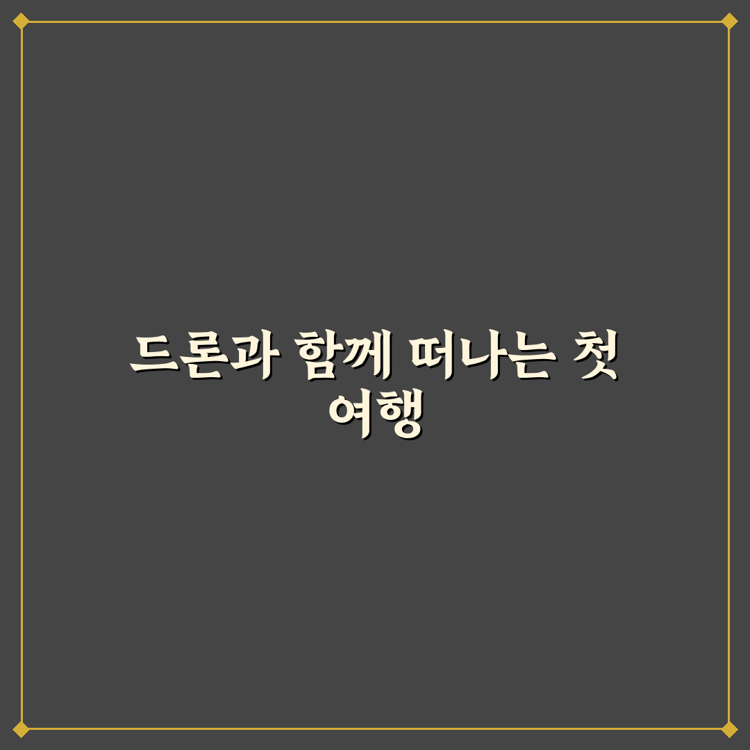 드론 비행 허가 신청과 보조배터리 비행기 반입 규정 솔직후기
