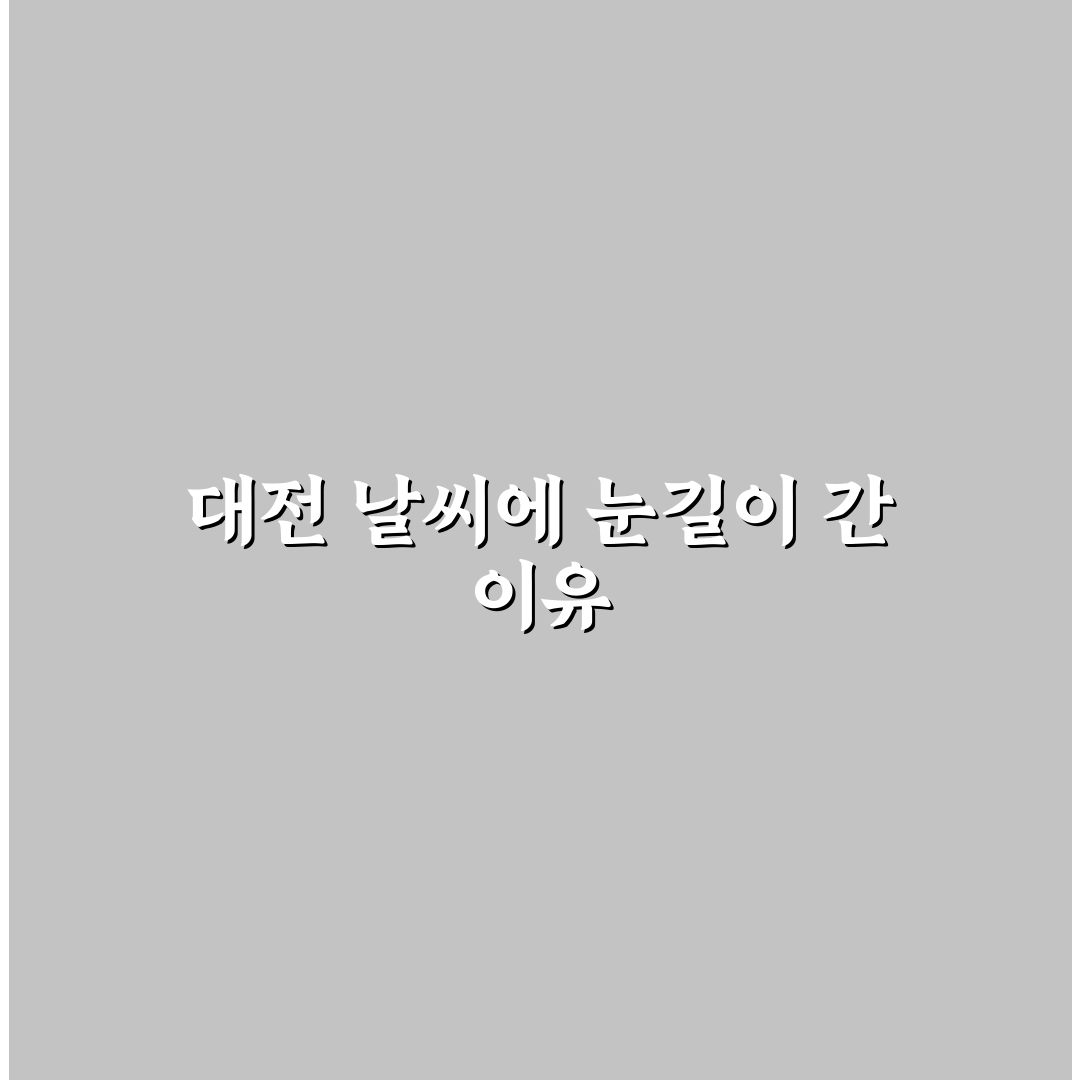 대전 계산동 날씨 직접 알아보니 계절별 차이 체감돼요