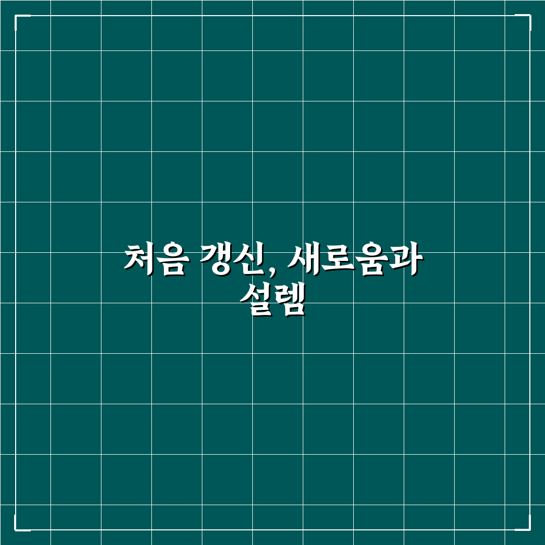 자동차 보험 갱신 가이드와 보험료 아끼는 비교 방법 직접 써본 후기