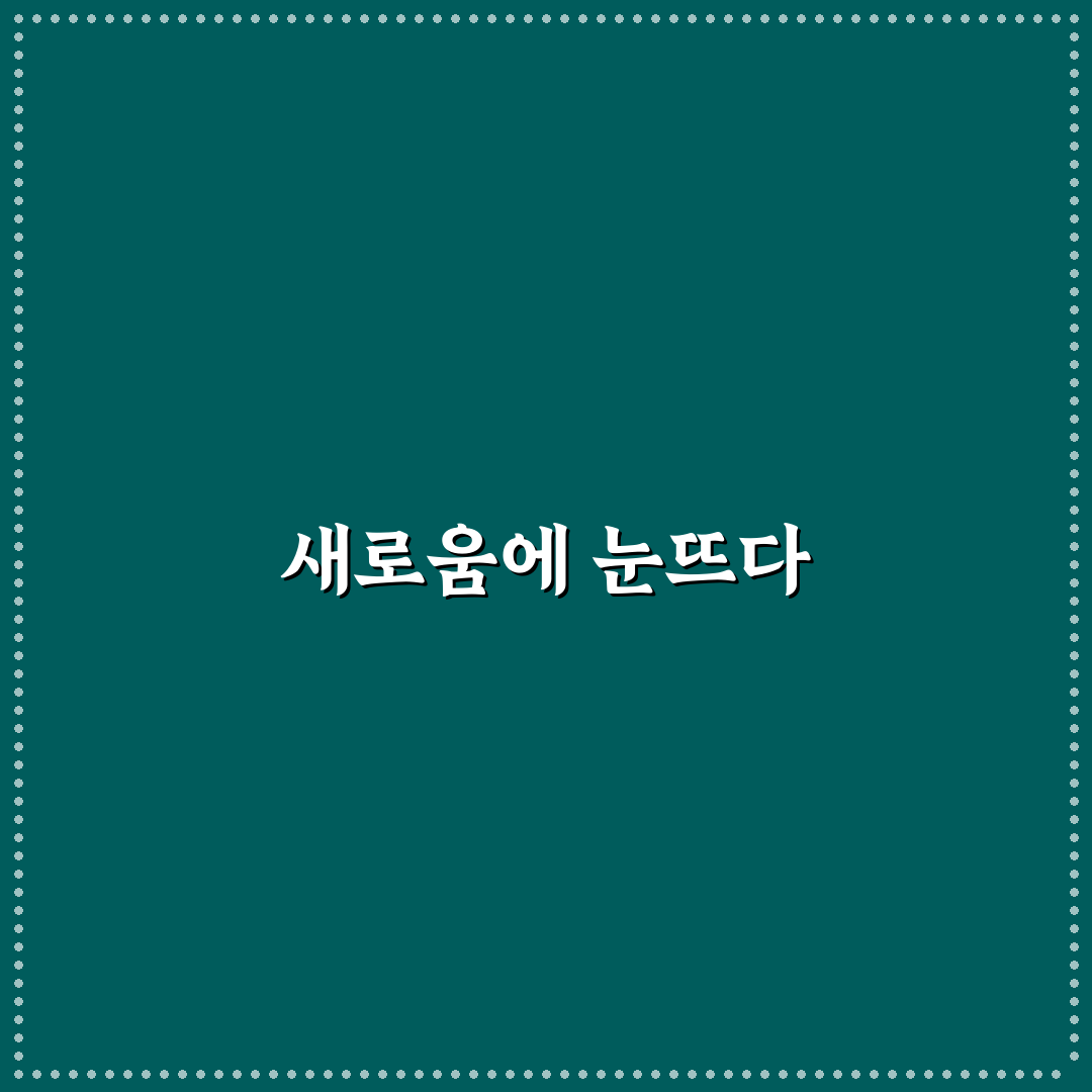 인스타그램 마케팅 도구와 캔바 디자인 팁 실전 정리 사용후기