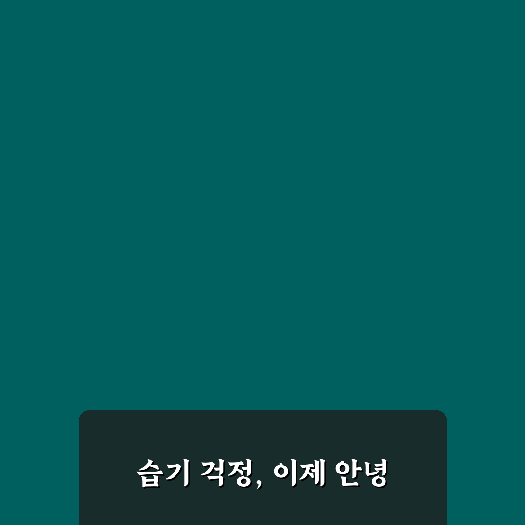 제습기 효율적 사용법 전기세 아끼며 습기 잡는 방법 리얼후기