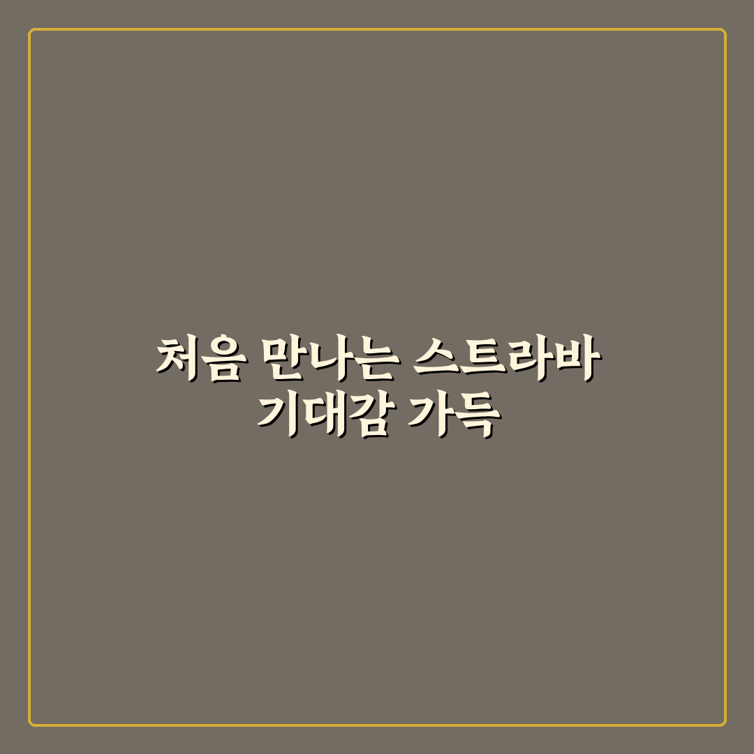 운동 기록 앱 스트라바 활용법과 초보자 설정 팁 사용후기