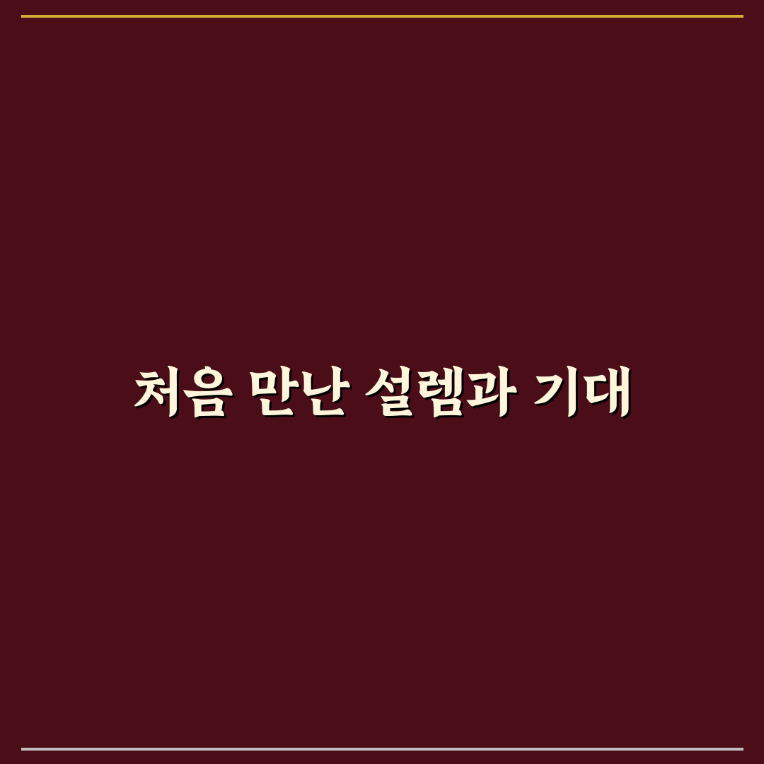 직장 내 소통 기술과 피드백 주고받는 법 핵심 정리 사용후기