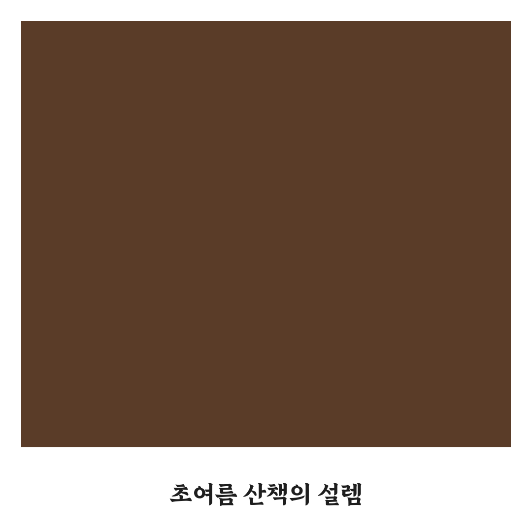 노원 초안산 수국동산 방문 후기, 직접 가보니 풍경은 어땠나