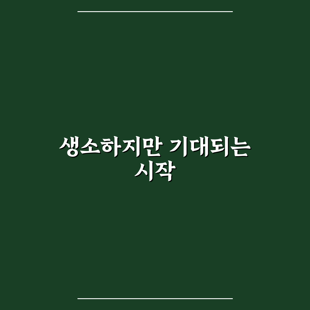 뽀모도로 타이머 활용법과 집중력 유지 비결 한 번에 정리 솔직후기