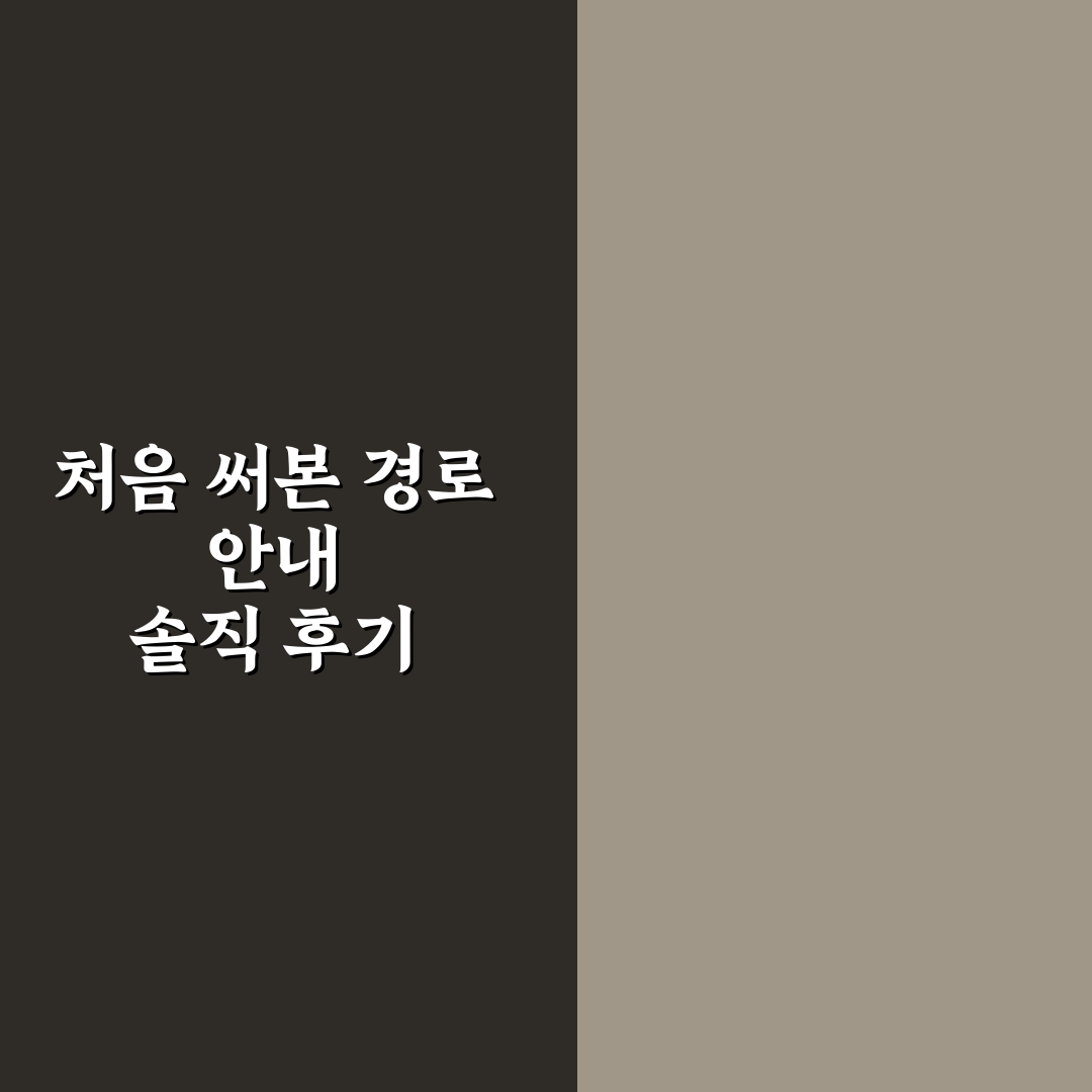 지도 앱 경로 최적화와 대중교통 환승 꿀팁 한 번에 정리 사용후기
