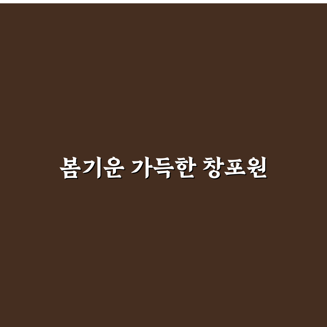 거창 창포원 축제 방문 후기, 직접 가보니 분위기 어땠는지