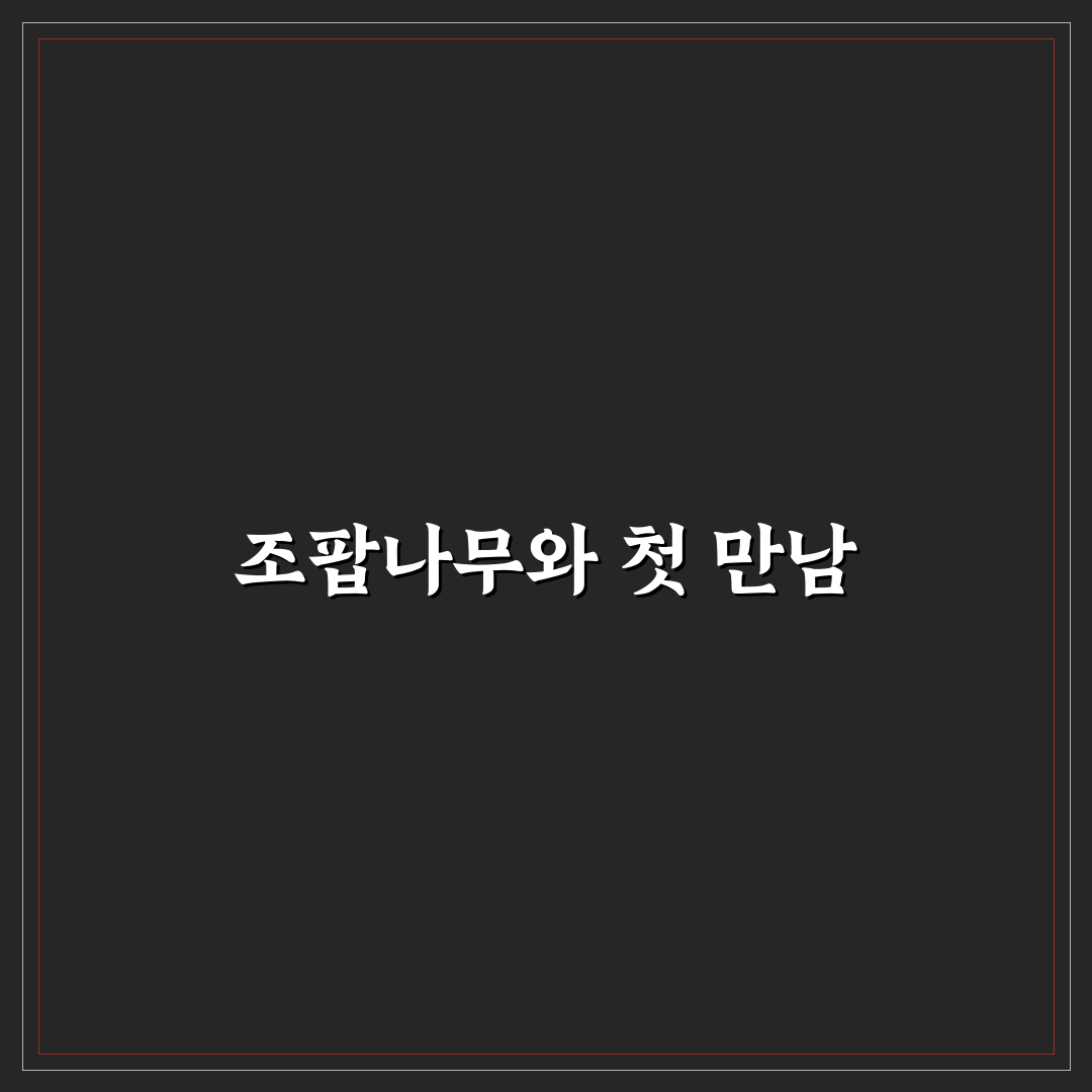 조팝나무 키우기 직접 해보니 알게 된 점들