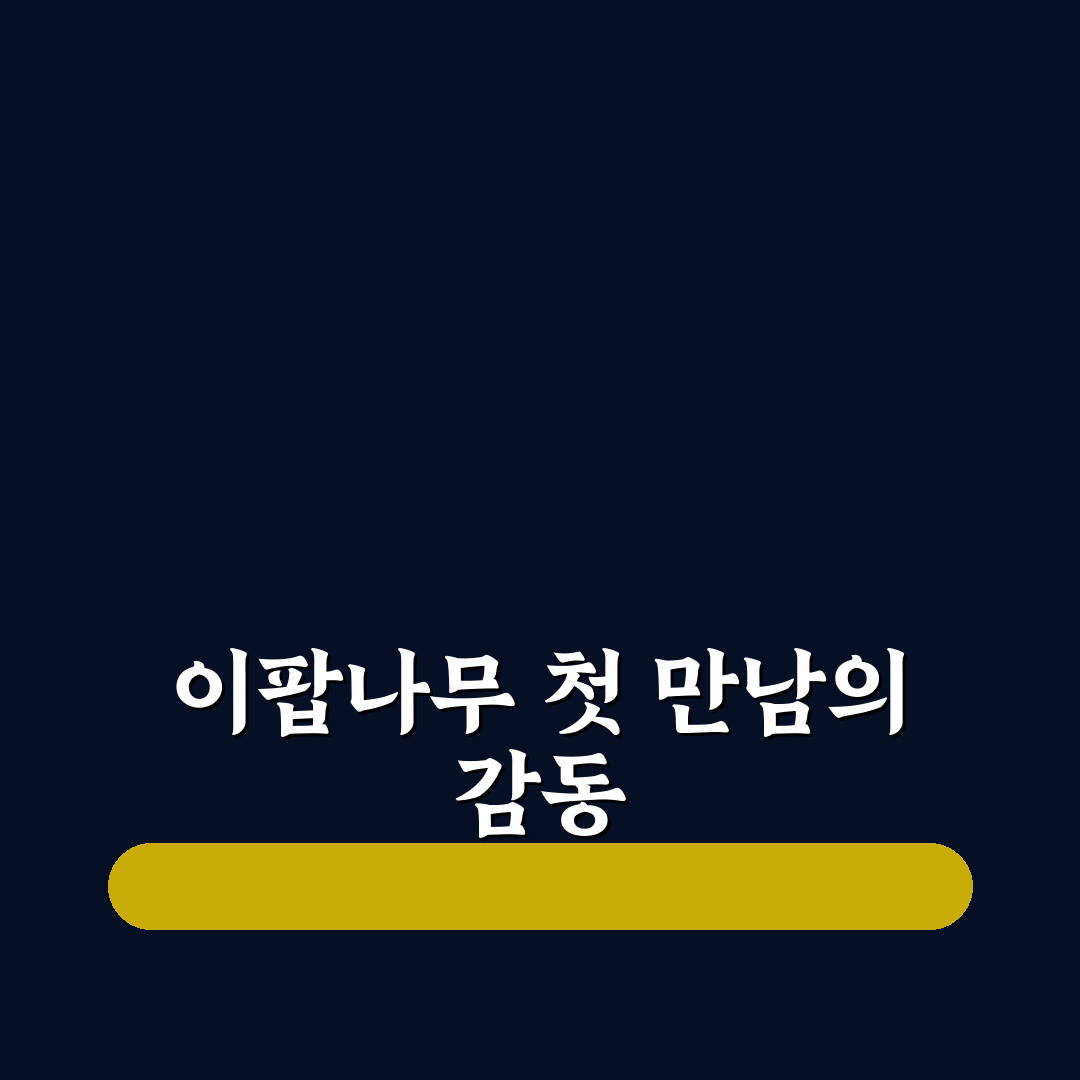이팝나무 전설 직접 알아보니 흥미로웠던 이야기