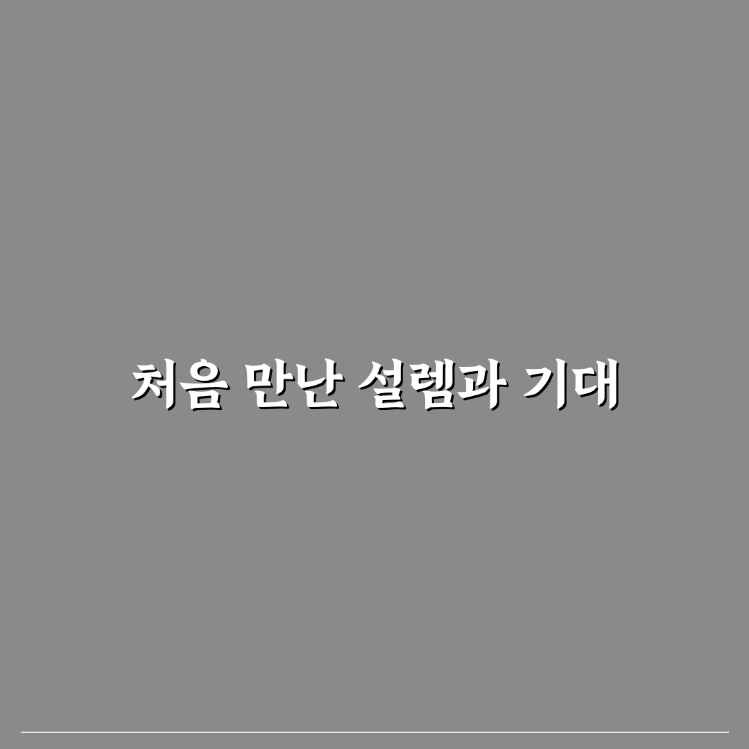 철산 꽃집 방문 후기, 직접 가보니 분위기와 서비스는 어떨까