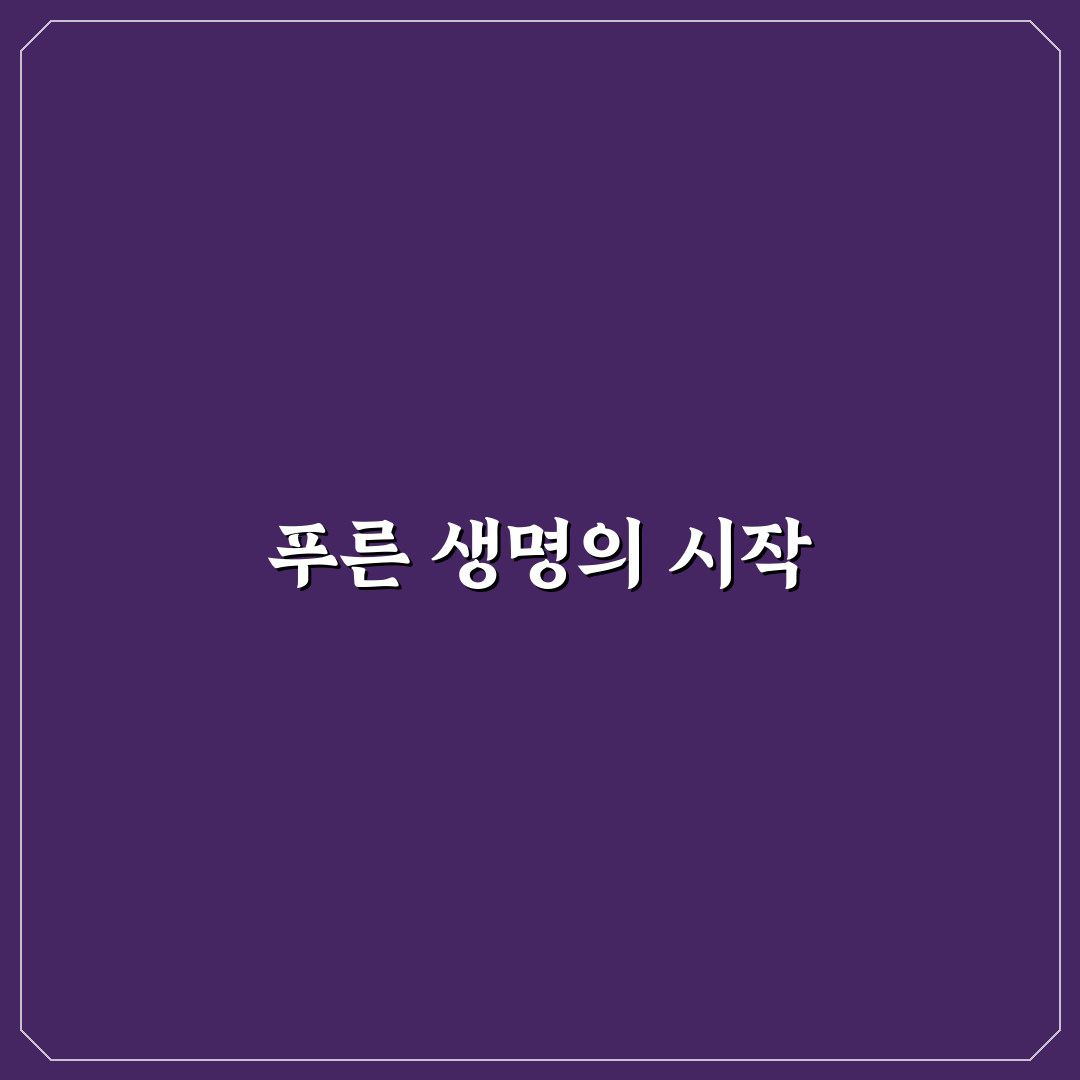 말차 비초비 사용 후기, 진짜 맛과 향은 어떨까