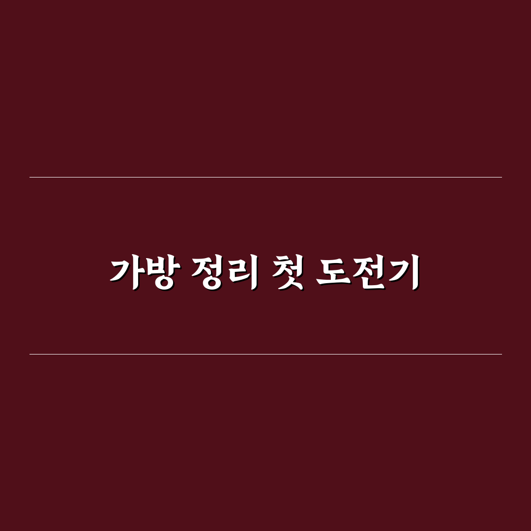 가방 속 정리 파우치 활용으로 찾는 시간 줄이는 방법 사용후기
