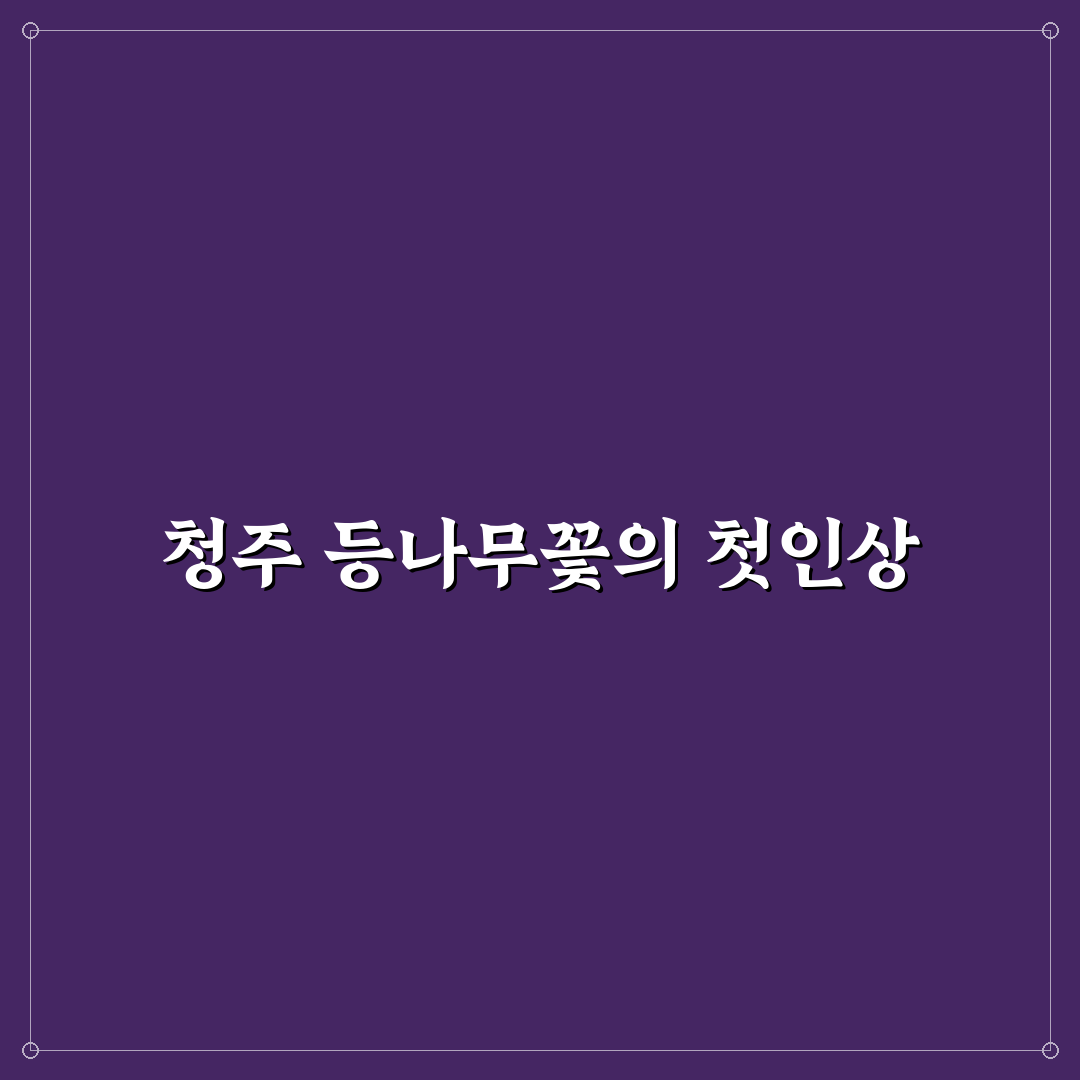 청주 등나무꽃 방문 후기, 직접 가보니 분위기 어땠는지