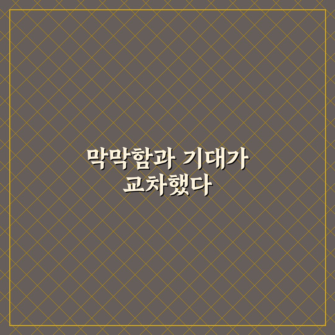 디딤돌 대출 조건과 자격 요건 초보자용으로 쉽게 정리한 사용후기