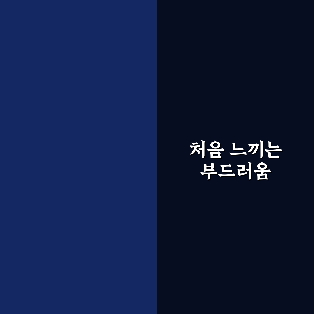 포모나 휘핑스프레이 사용 후기, 직접 써보니 느낌은?